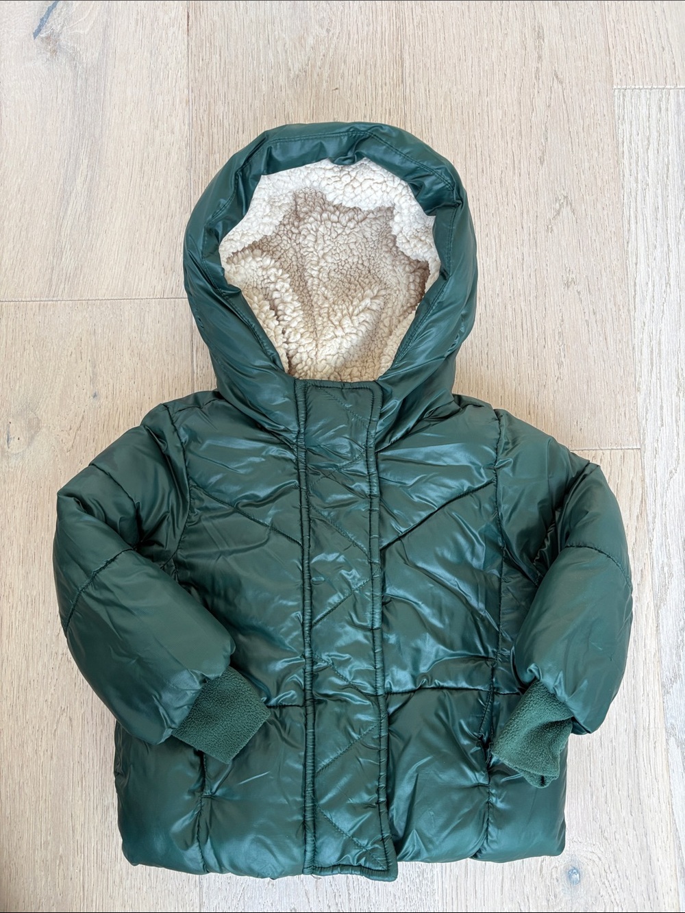 GAP Kids Green Puffer Jacket with Sherpa-Lined Hood